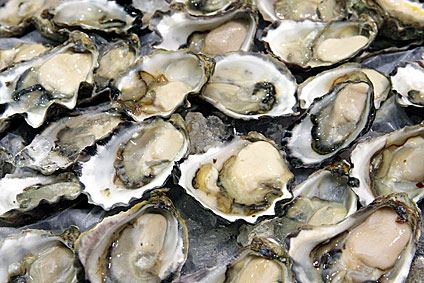oysters424