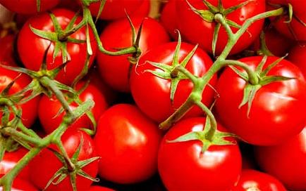 tomatoes