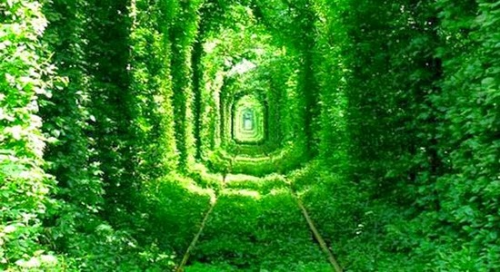 tunnel-of-love-ukraine