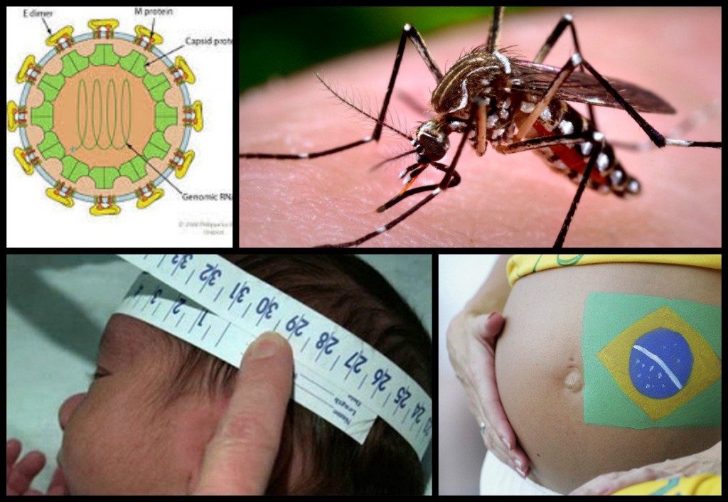 PELIGROSO_VIRUS_CAUSA_PANICO_EN_BRASIL_2_JOYA_LIFE