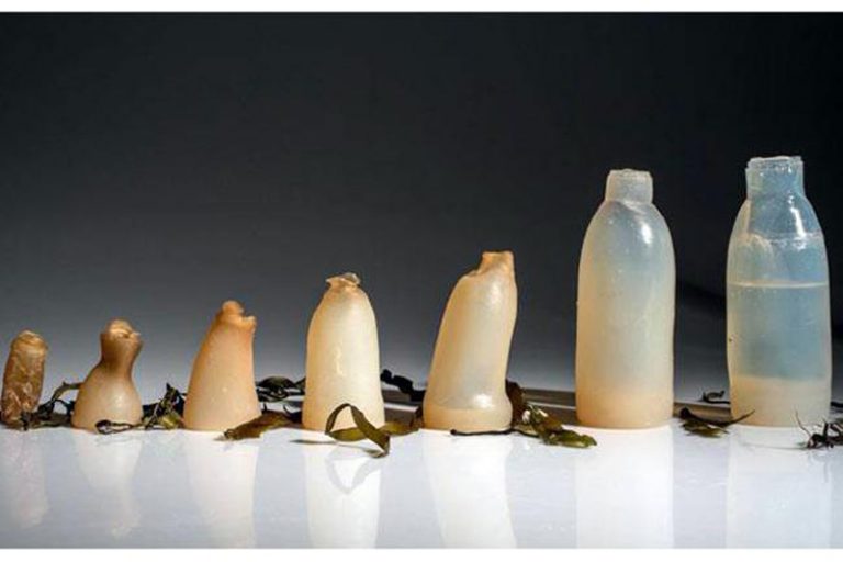 A new biodegradable bottle design is made from a jelly-like material called agar.