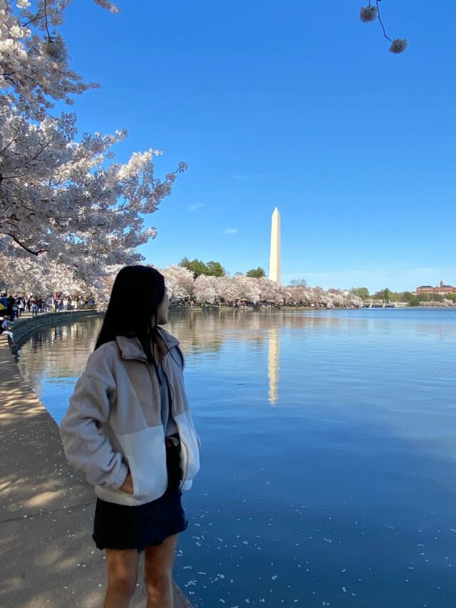 10 Best Things To Do in Washington, D.C.