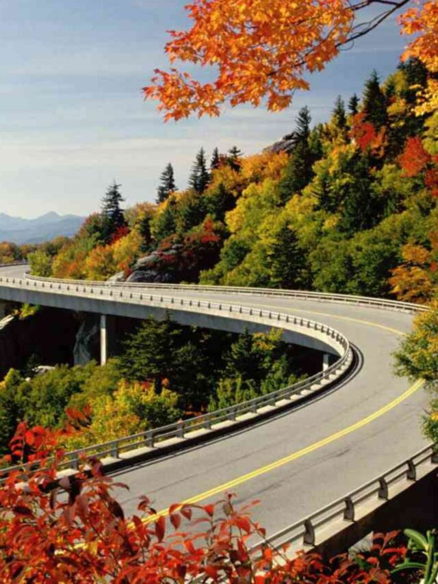 Top 10 Most Scenic Drives In The USA - Teronga